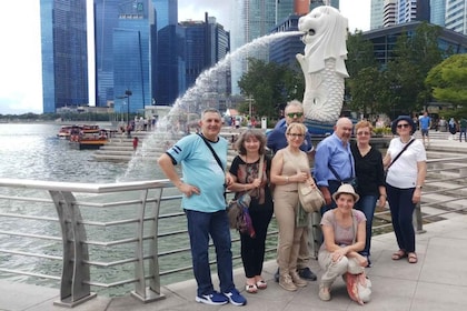 Tour privato dell'arte di strada a Singapore