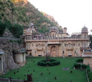 Jaipur: Full-Day City Tour with Camel Ride and Monkey Temple