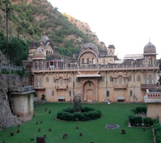 Jaipur: Full-Day City Tour with Camel Ride and Monkey Temple