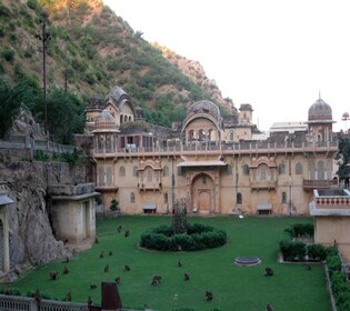 Jaipur: Full-Day City Tour with Camel Ride and Monkey Temple