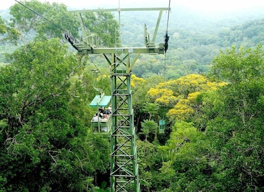 From Panama City: Gamboa Rainforest Guided Tour with Lunch