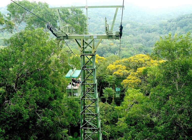 From Panama City: Gamboa Rainforest Guided Tour with Lunch