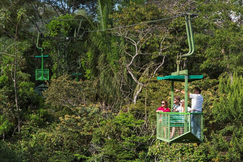 Picture 2 for Activity From Panama City: Gamboa Rainforest Guided Tour with Lunch