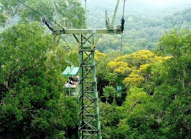 From Panama City: Gamboa Rainforest Guided Tour with Lunch