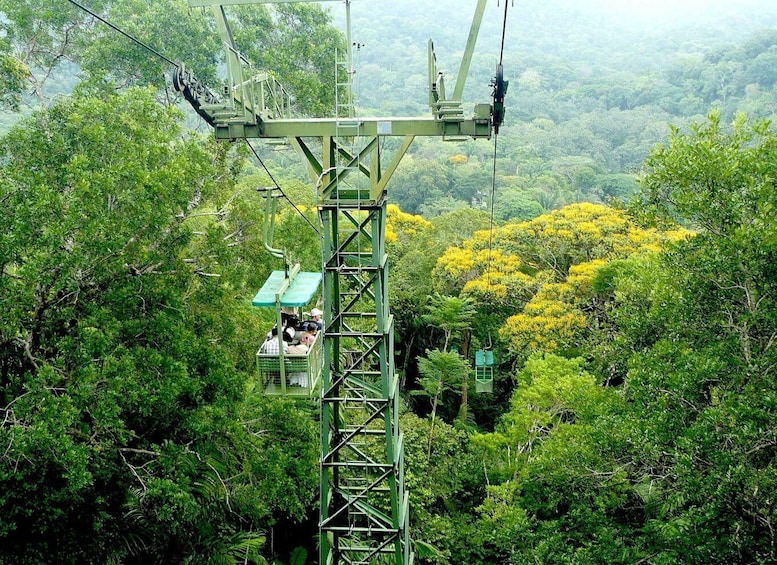 From Panama City: Gamboa Rainforest Guided Tour with Lunch