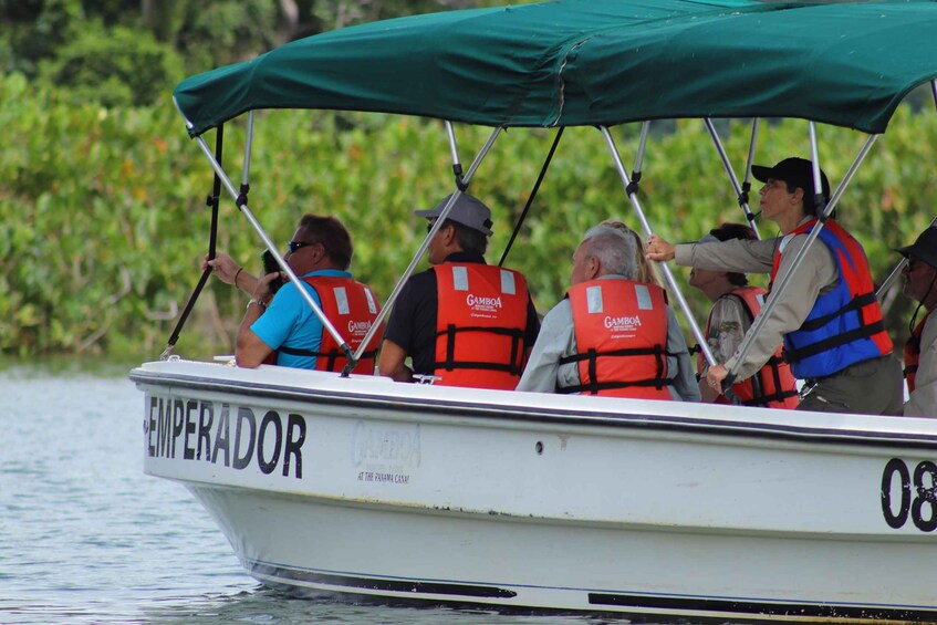 Picture 4 for Activity From Panama City: Gamboa Rainforest Guided Tour with Lunch