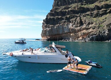 Dari Gran Canaria Selatan: Tur Perahu dengan Tapas dan Minuman