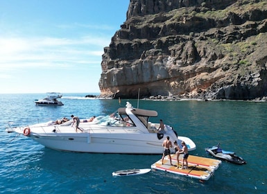 Da Gran Canaria Sud: Tour in barca con tapas e bevande