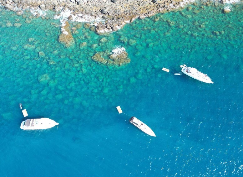 Picture 6 for Activity From South Gran Canaria: Boat Tour with Tapas and Drinks