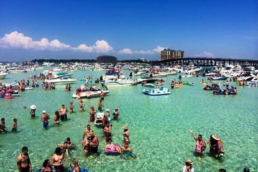 The Original Redneck Pontoon Crab Island/Dolphin Cruise 36hrs