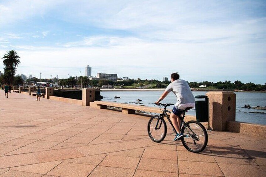 Bicycle Rental in Montevideo