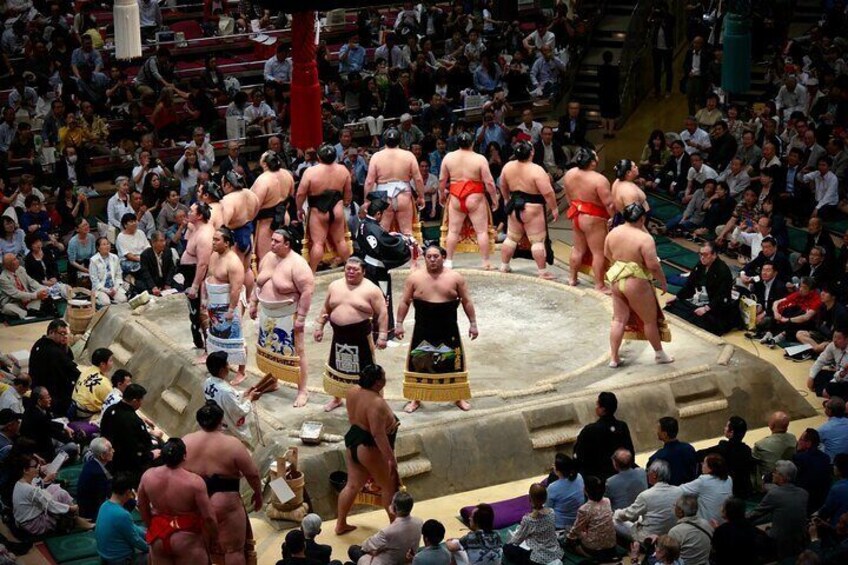 Sumo Grand Tournament Tour with Lunch and Ticket Admission 