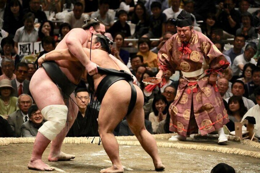 Sumo Grand Tournament Tour with Lunch and Ticket Admission 