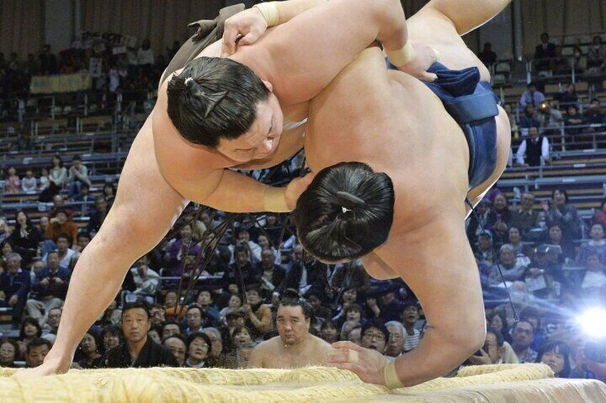 Sumo Grand Tournament Tour with Lunch and Ticket Admission 