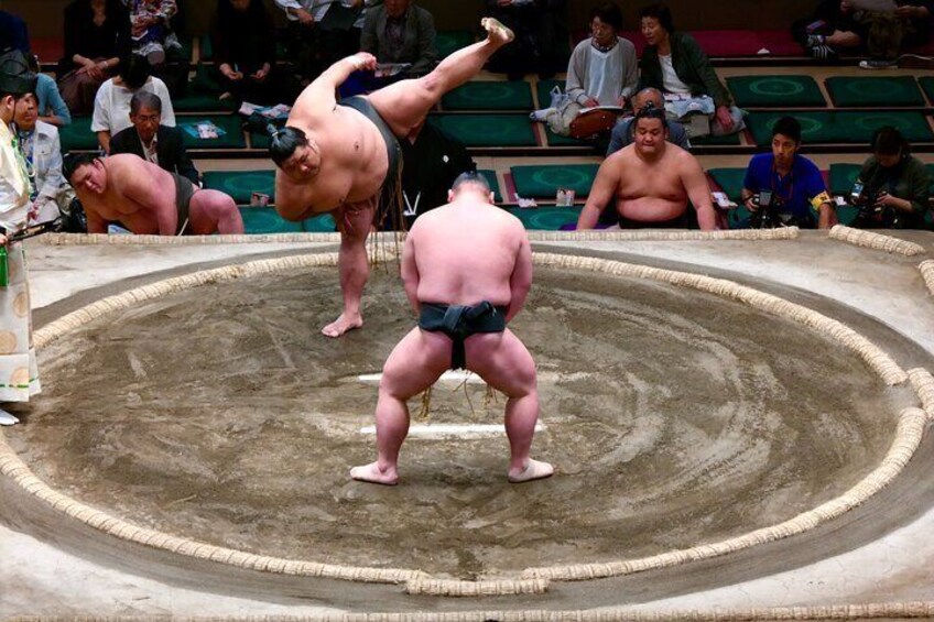 Sumo Grand Tournament Tour with Lunch and Ticket Admission 