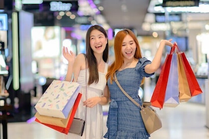 Private Shopping Tour from Tokyo to Mitsui Outlet Park Tamaminami