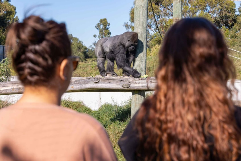 Picture 2 for Activity Christchurch: Orana Wildlife Park Admission