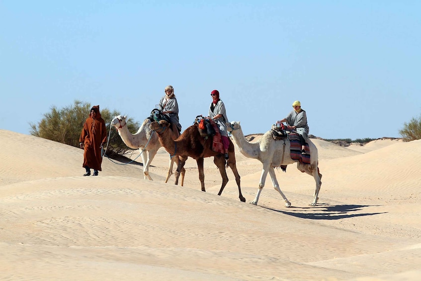 Picture 1 for Activity Douz: Sahara Desert Camel Trek with Lunch