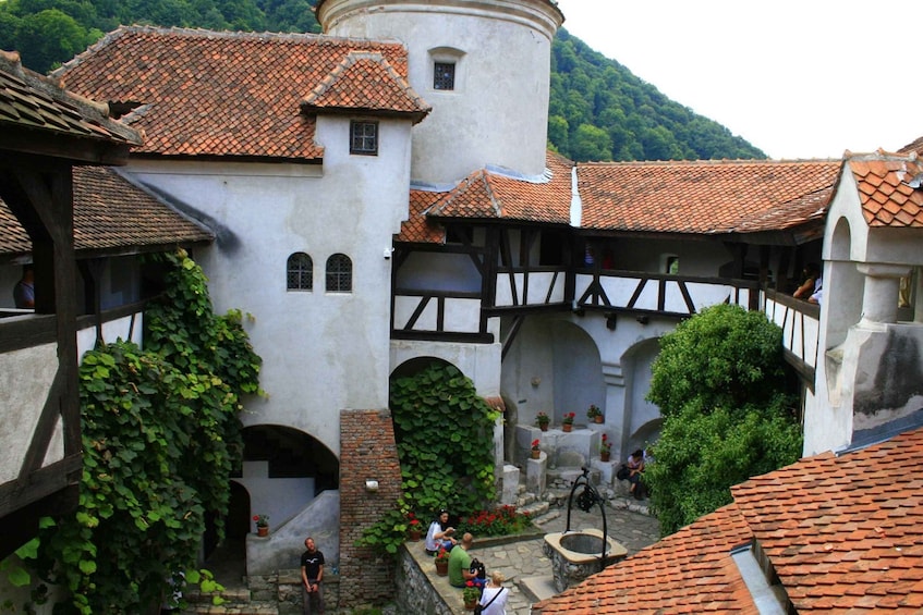 Picture 2 for Activity Day Tour: Exploring Dracula’s Castle and Medieval Brașov