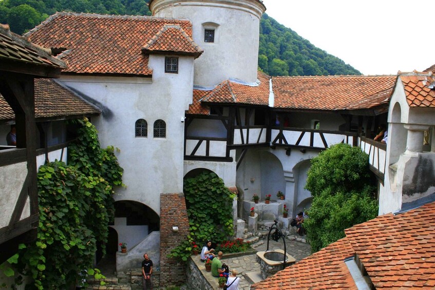 Picture 2 for Activity Day Tour: Exploring Dracula’s Castle and Medieval Brașov
