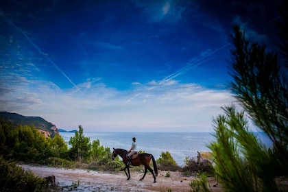 Dubrovnik Kojan Koral: Ridning på hästryggen