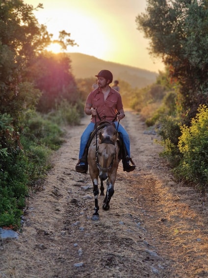 Picture 3 for Activity Dubrovnik Kojan Koral: Horseback Riding