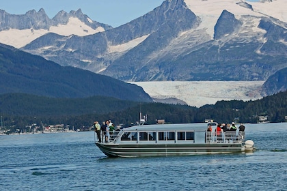 From Juneau: Whale Watching Cruise with Snacks