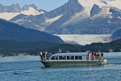 From Juneau: Whale Watching Cruise with Snacks