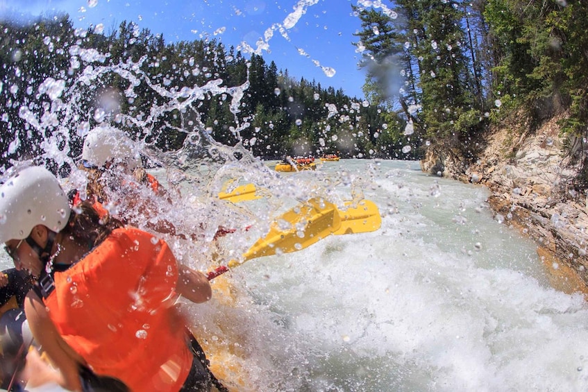 Picture 2 for Activity Golden, BC: Kicking Horse River Whitewater Raft Experience