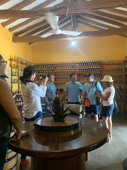 Picture 5 for Activity Mazatlan: Temazcal Experience with Lunch and Transportation