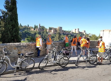 Granada: E-bike tour en flamenco show