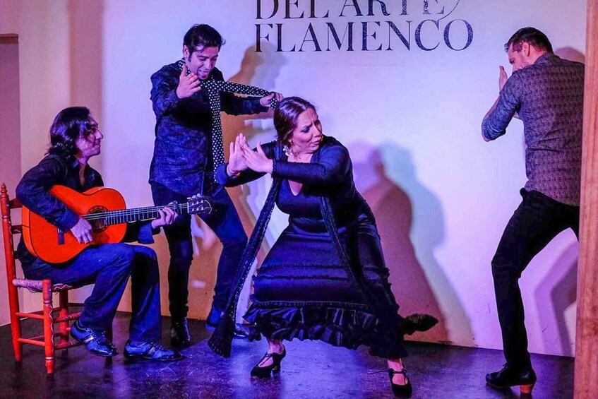 Picture 4 for Activity Granada: E-Bike Tour and Flamenco Show