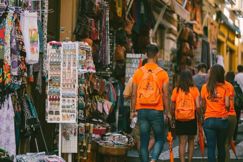 Private Tour in Granada