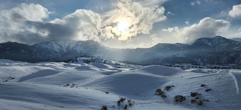 Picture 8 for Activity From Gardiner: Guided Yellowstone Cross-Country Skiing Tour