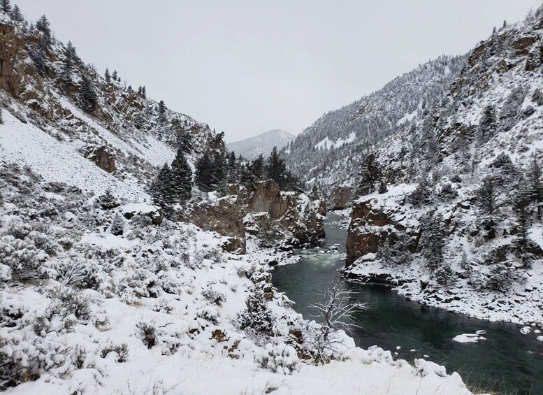 Picture 7 for Activity From Gardiner: Guided Yellowstone Cross-Country Skiing Tour