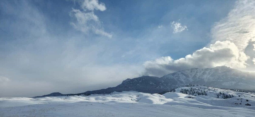 Picture 6 for Activity From Gardiner: Guided Yellowstone Cross-Country Skiing Tour