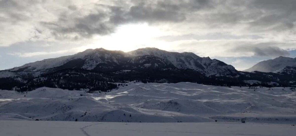 Picture 5 for Activity From Gardiner: Guided Yellowstone Cross-Country Skiing Tour