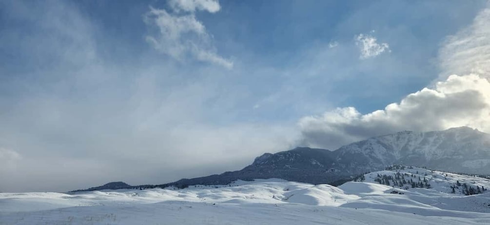 Picture 6 for Activity From Gardiner: Guided Yellowstone Cross-Country Skiing Tour