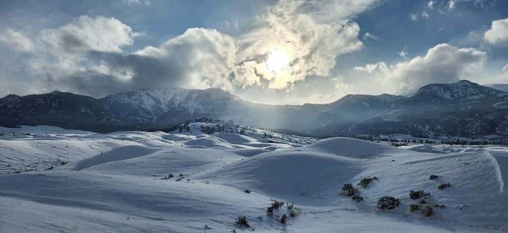 Picture 8 for Activity From Gardiner: Guided Yellowstone Cross-Country Skiing Tour