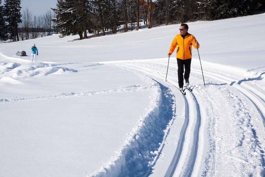 Picture 2 for Activity From Gardiner: Guided Yellowstone Cross-Country Skiing Tour