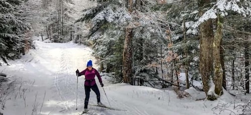 Depuis Gardiner : Ski de fond guidé à Yellowstone excursion