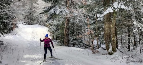 Von Gardiner aus: Geführte Yellowstone Skilanglauftour