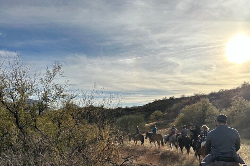 One Hour Guided Horseback Ride