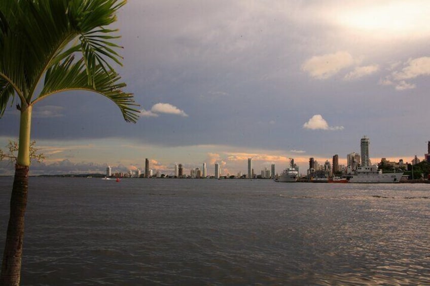 Dinner in the Bay of Cartagena on a Luxury Yacht Sibarita Master