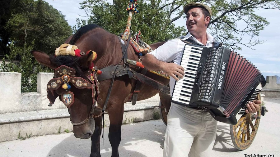 1 day Erice, Scopello, Castellammare Del Golfo and Salt Pans