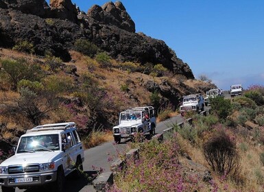 Gran Canaria: Off-Road Day Tour with Optional Lunch