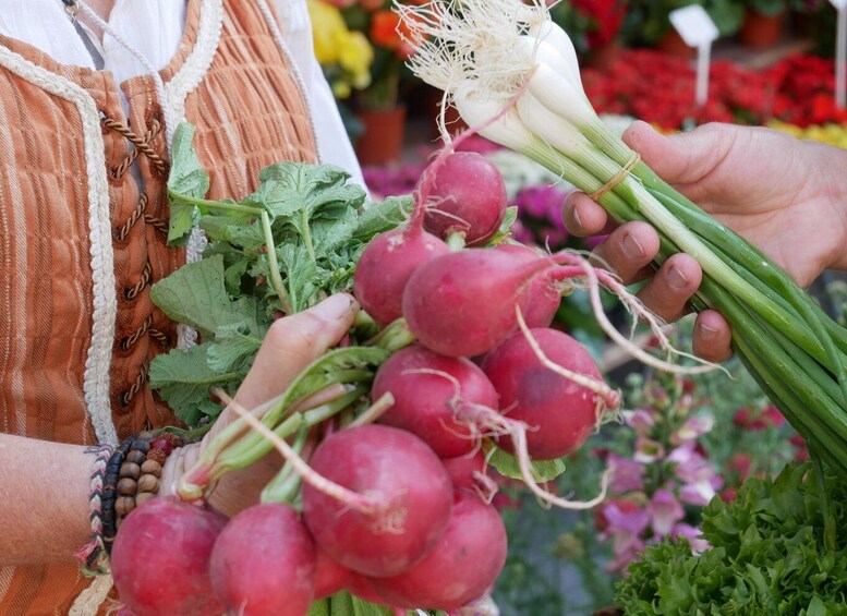 Ulm: Guided tour through the weekly market with tasters