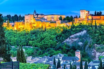 Granada: Private, maßgeschneiderte Tour mit einem lokalen Guide