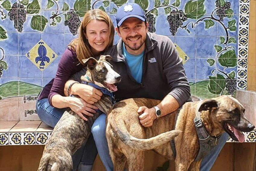 Full day Private Pet Friendly tour of Hunter Valley Wine Country