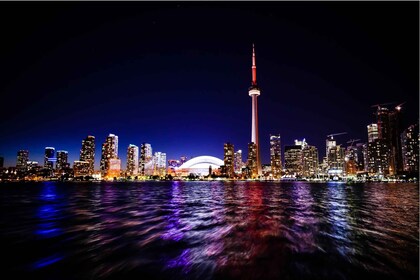 Toronto: Private Walking Tour mit einem Guide (Private Tour)